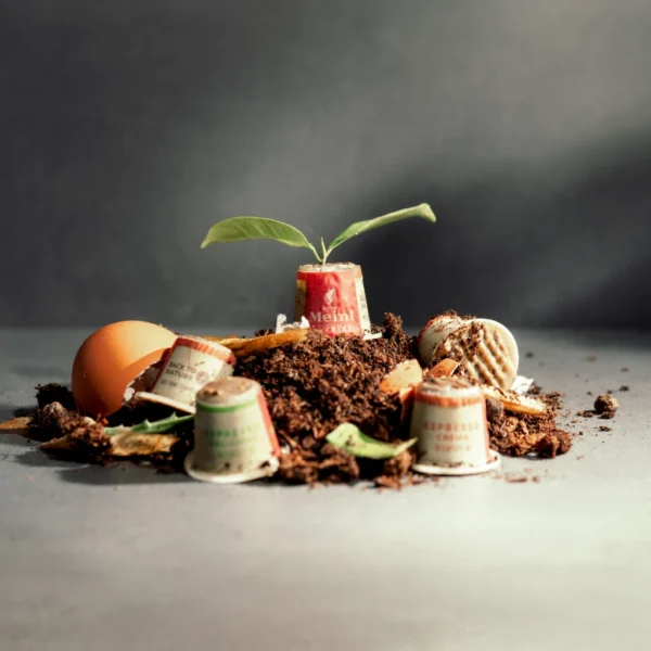 Julius Meinl Lungo Classico Biodegradable Coffee Capsule 10s Nespresso Machine Compatible