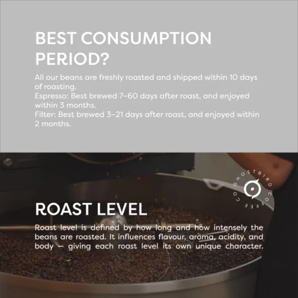 Espresso Blend Milkyway GHOSTBIRD COFFEE Freshly roasted coffee bean Arabica Coffee