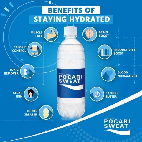 Pocari Sweat Bottle 500ml